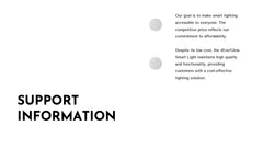Trident Product Development Plan Presentation slide 17