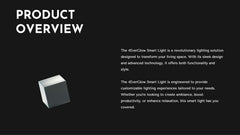 Trident Product Development Plan Presentation slide 4