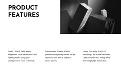 Trident Product Development Plan Presentation slide 5