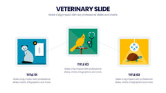 Veterinary Infographics slide 2