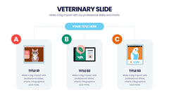 Veterinary Infographics slide 7