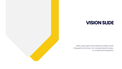 Vision Infographics