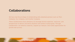 Zenith Artist Portfolio Presentation slide 11