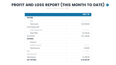 Profit and Loss Infographics