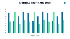 Profit and Loss Infographics