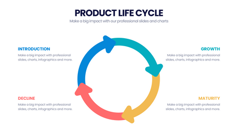Product Life Cycle