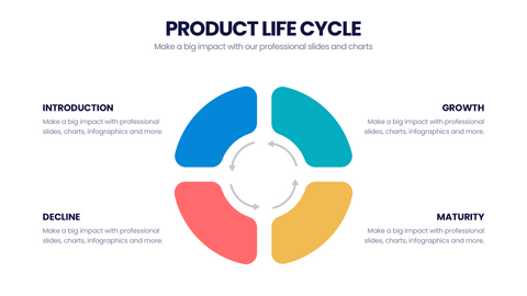 Product Life Cycle