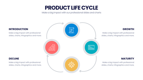 Product Life Cycle