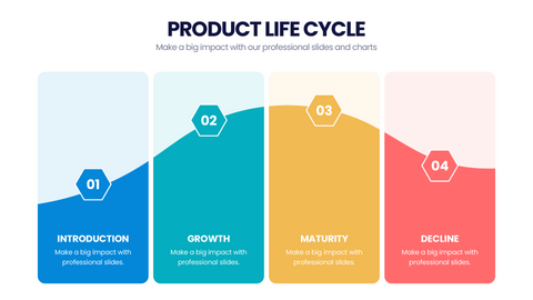 Product Life Cycle