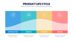 Product Life Cycle Infographics