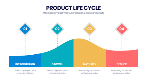 Product Life Cycle