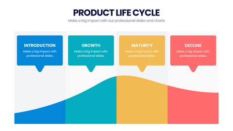 Product Life Cycle