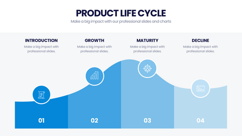 Product Life Cycle