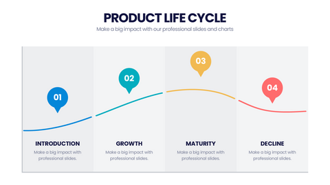 Product Life Cycle