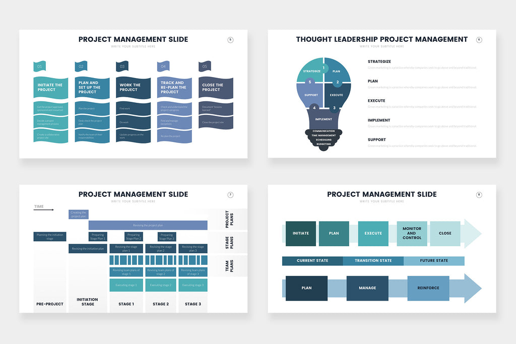 Project Management Infographics
