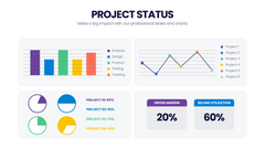 Project Status Infographics