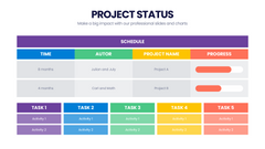 Project Status Infographics