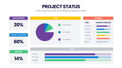 Project Status Infographics