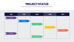 Project Status Infographics