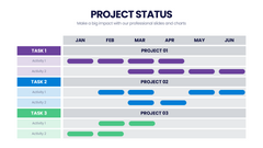 Project Status Infographics