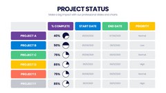 Project Status Infographics