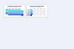Responsibility Assignment Matrix Infographics