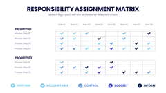 Responsibility Assignment Matrix