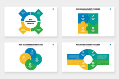 Risk Management Infographics