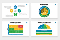 Risk Management Infographics